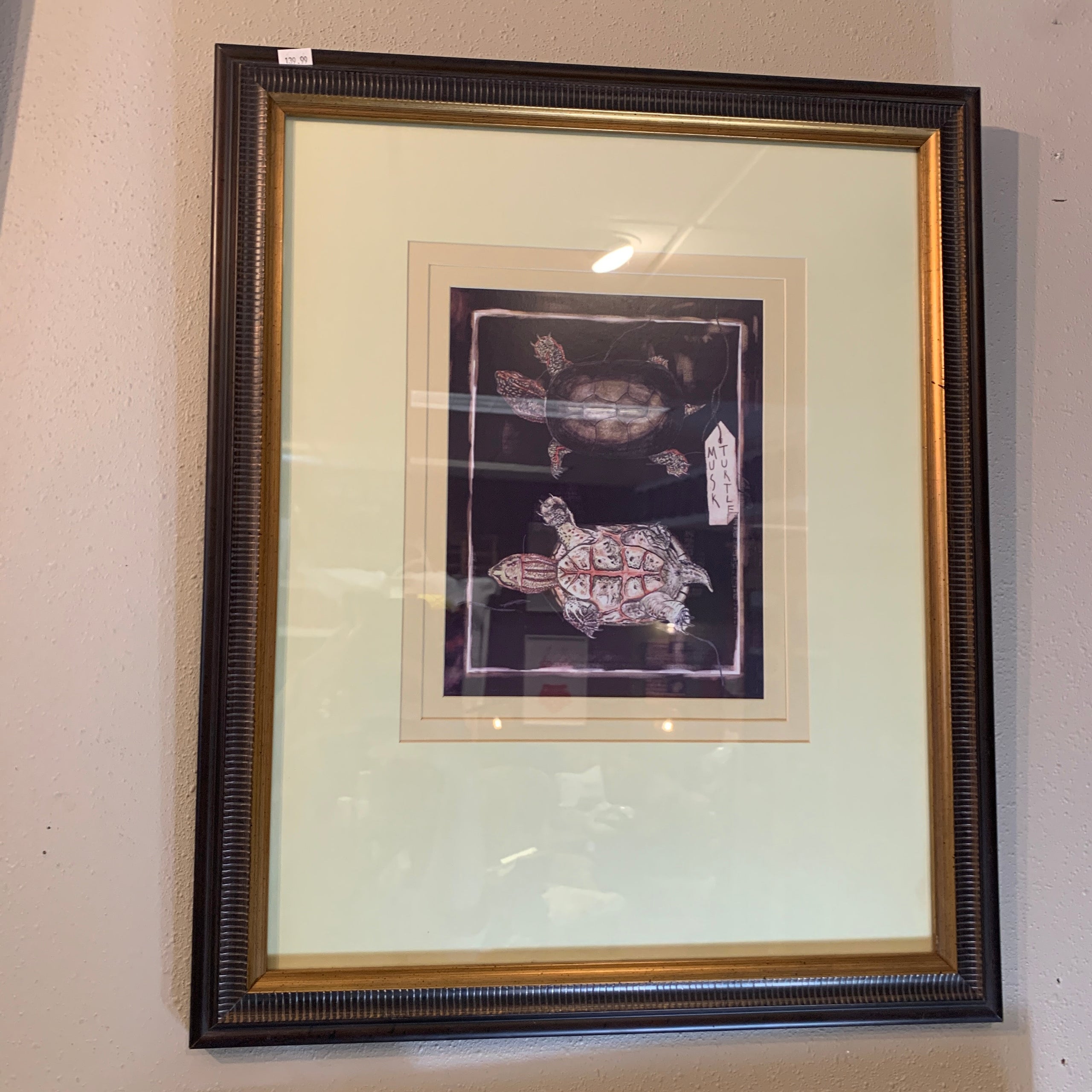 Musk Turtle Framed Artwork White Arrows Home The Shop musk-turtle-framed-artwork-white-arrows-home-the-shop